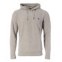 Voir la diapositive 1 : Petrol Industries Sweat à Capuche  Clair Homme Petrol Industries Sweater Hooded