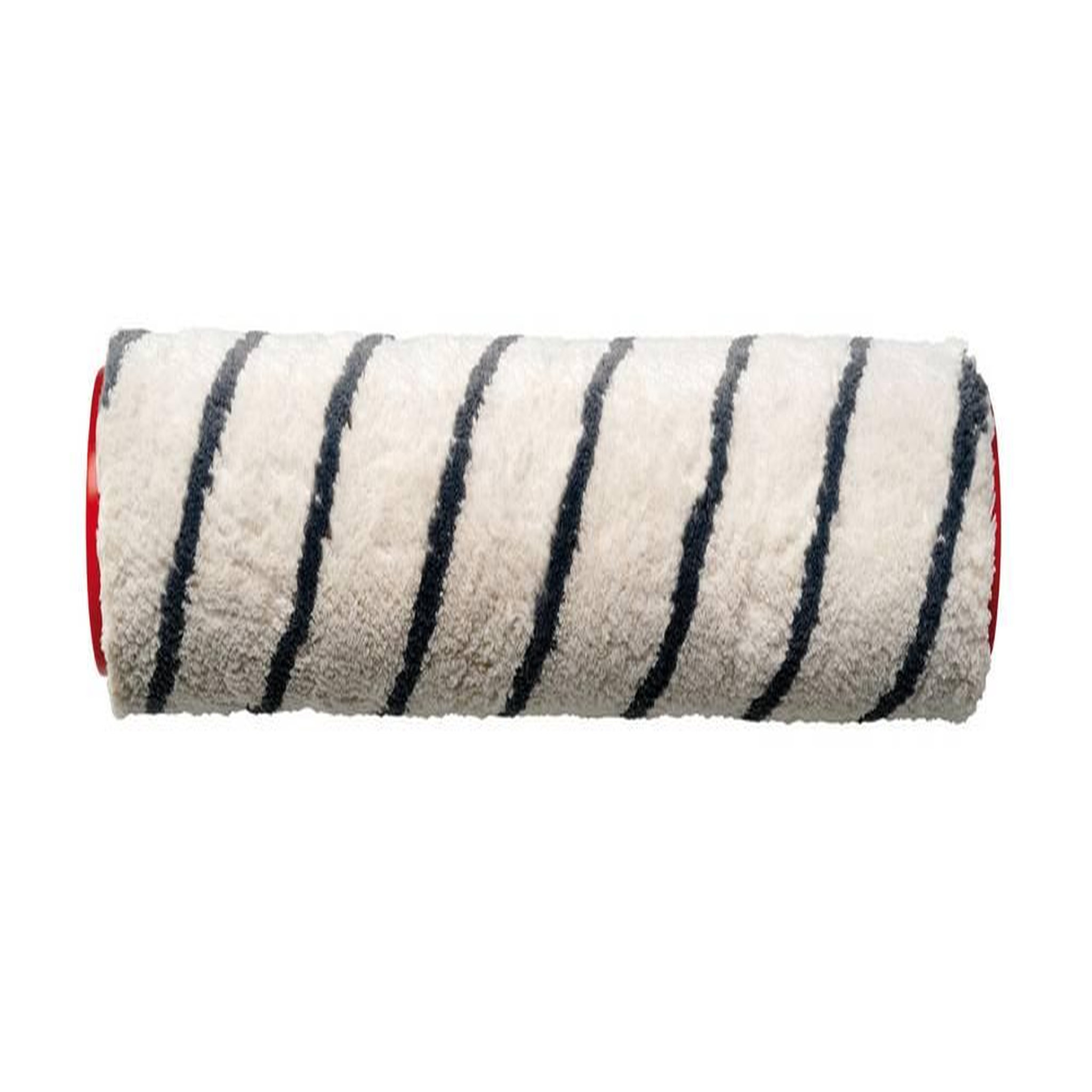 Einhell Brosse de rechange CLEANEXXO