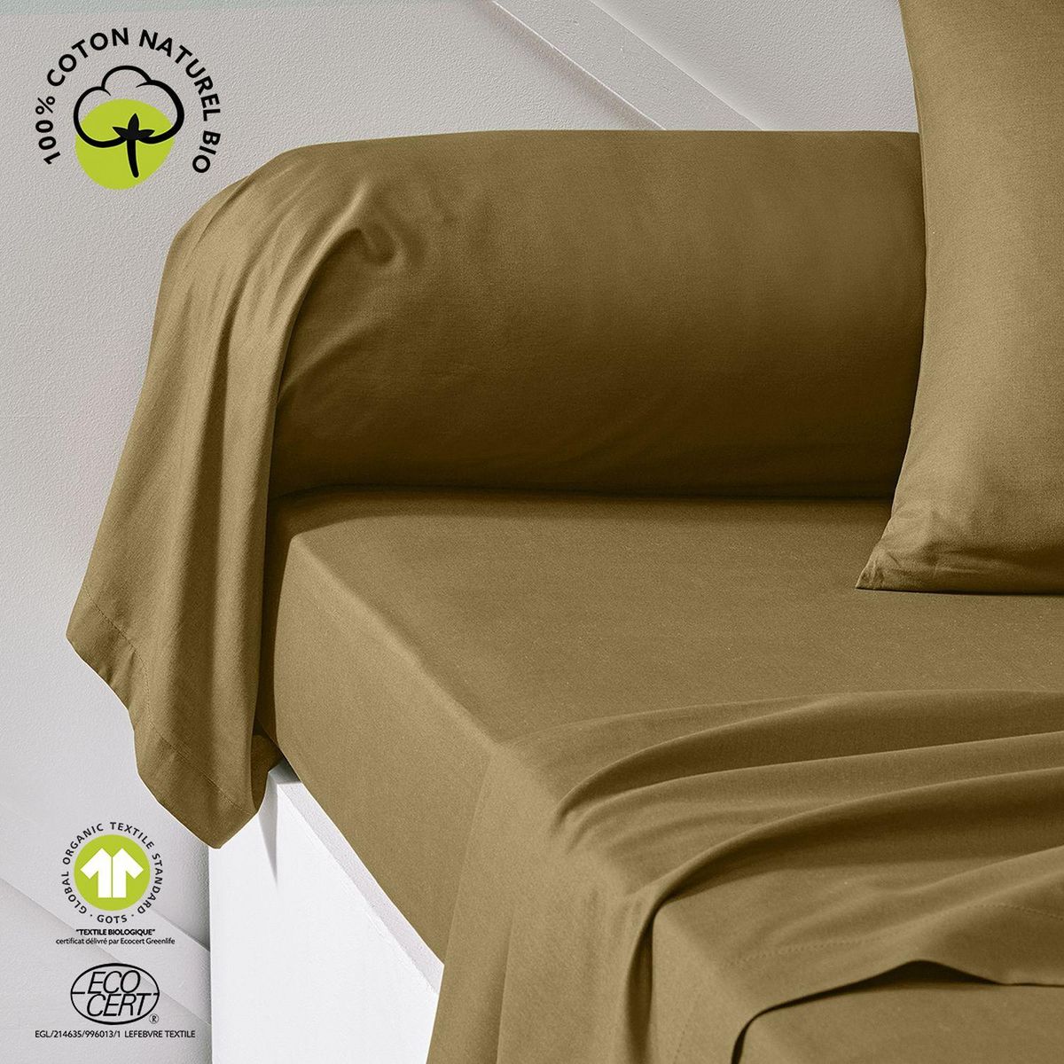 Today Taie de traversin - 100% coton BIO