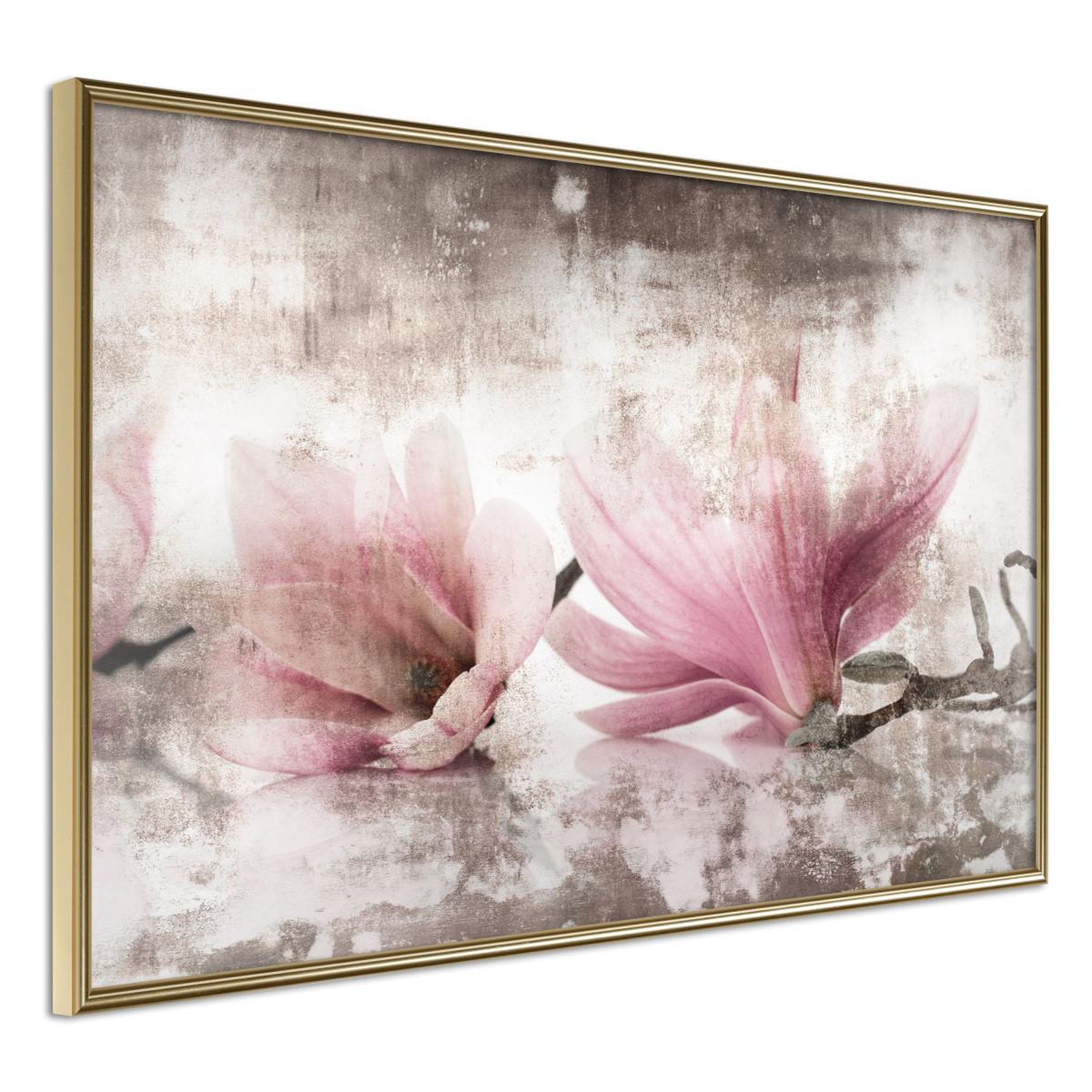 Paris Prix Affiche murale encadrée  picked magnolias