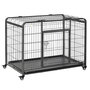 Voir la diapositive 1 : PAWHUT Cage pour chien pliable cage de transport sur roulettes 2 portes verrouillables plateau amovible dim. 109,5L x 71l x 78H cm métal gris noir
