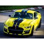 Voir la diapositive 2 : Smartbox Stage de pilotage : 5 tours sur le circuit de Mirecourt en Ford Mustang Shelby GT500 - Coffret Cadeau Sport & Aventure