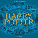HARRY POTTER TOME 6 : HARRY POTTER ET LE PRINCE DE SANG-MELE, Rowling J.K.