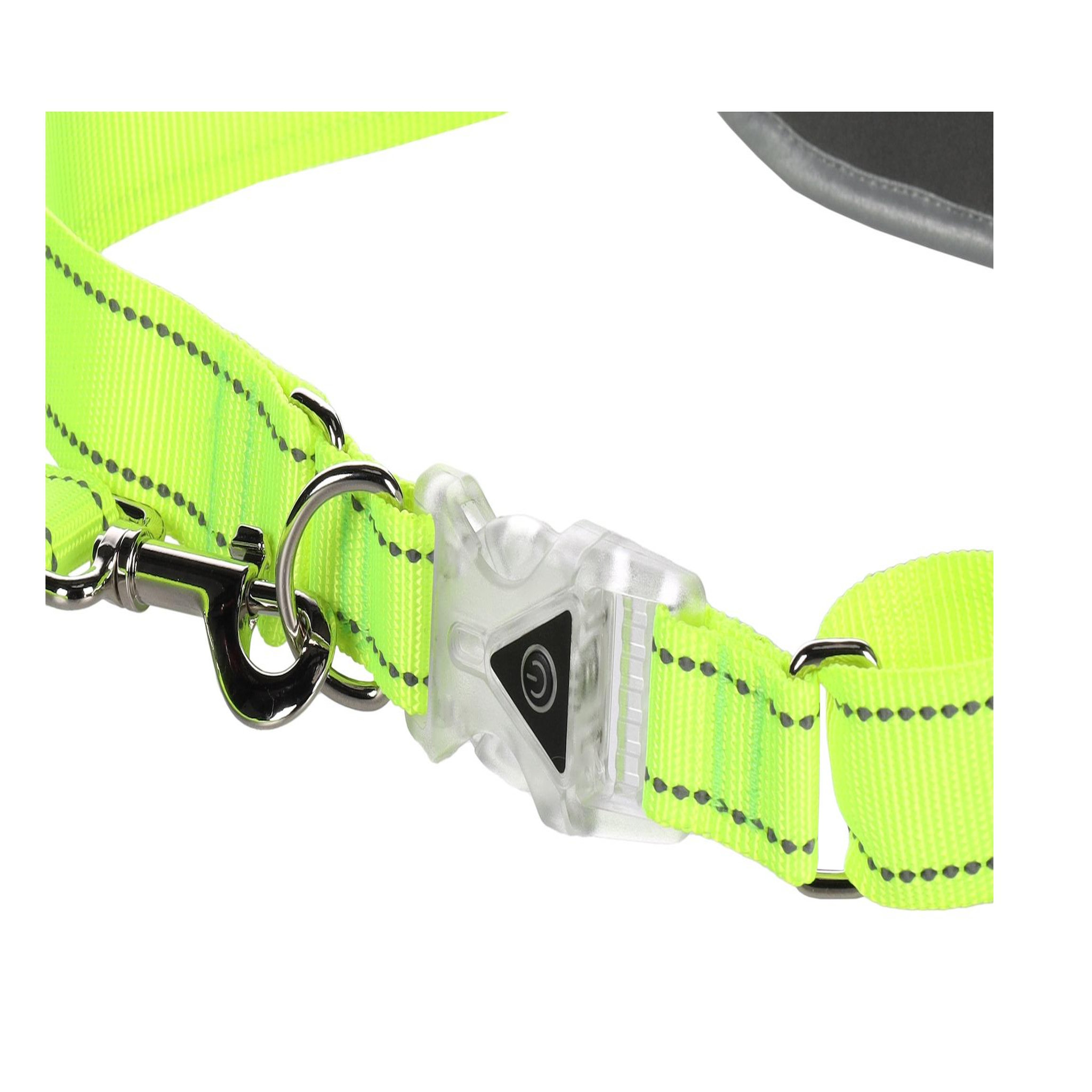 Voir la diapositive 6 : Eden Laisse de jogging avec ceinture de hanches led pour chien