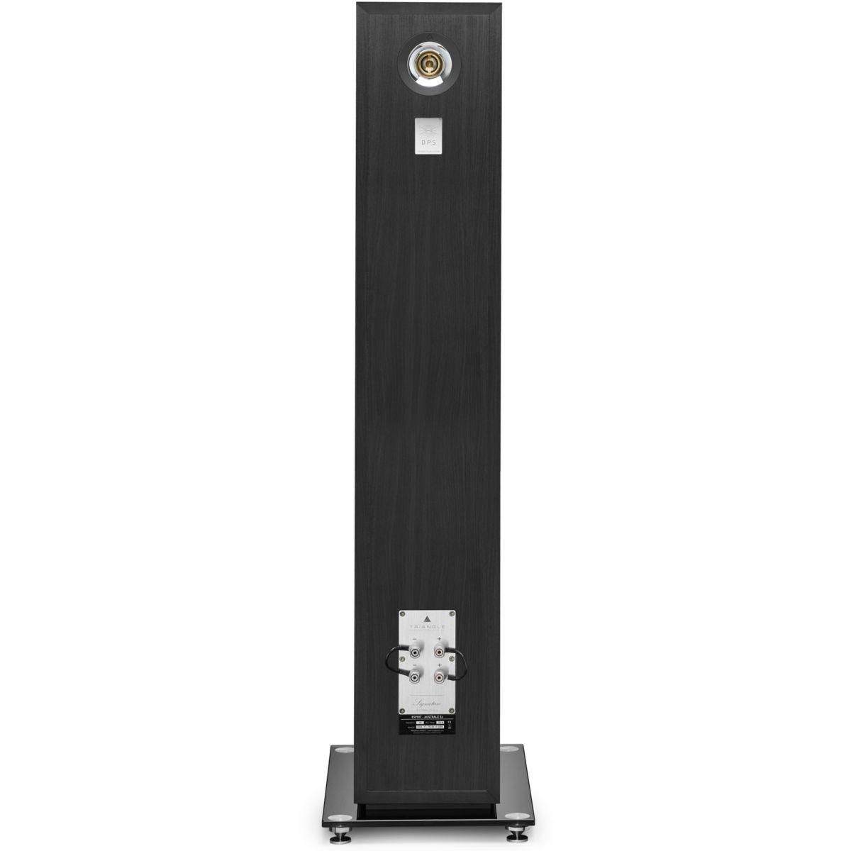 Triangle Enceinte colonne Australe EZ Bois noirx1