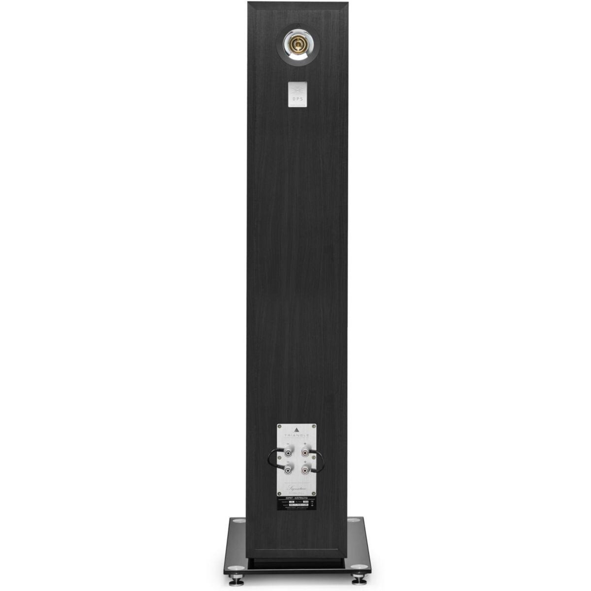 Triangle Enceinte colonne Australe EZ Bois noirx1