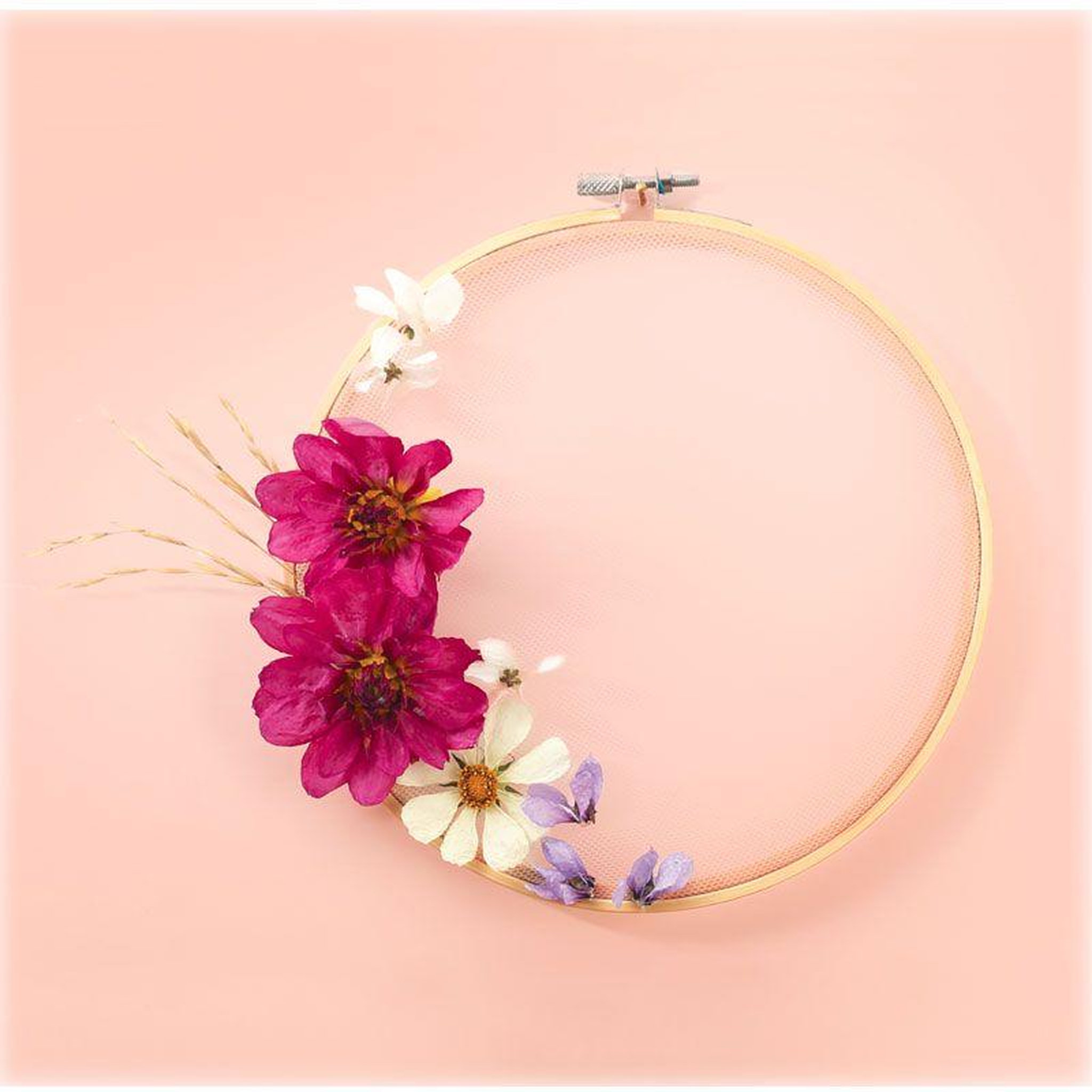 Graine créative Gel de silice pour déshydrater les fleurs 1 kg