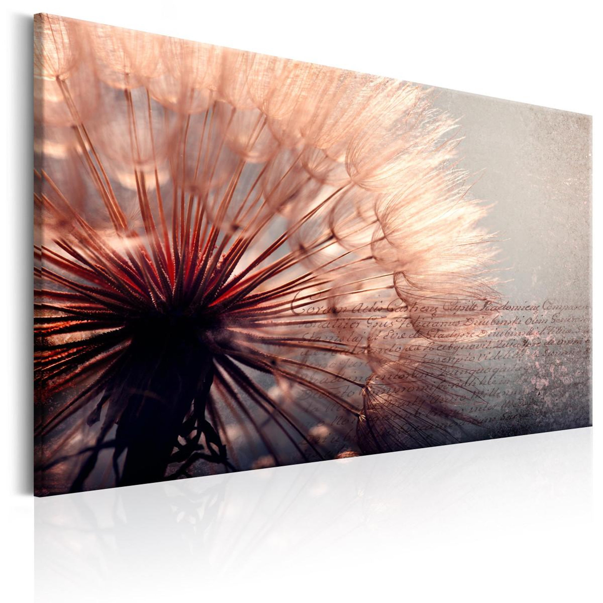 Voir la diapositive 1 : Paris Prix Tableau Imprimé  Pink Gentleness