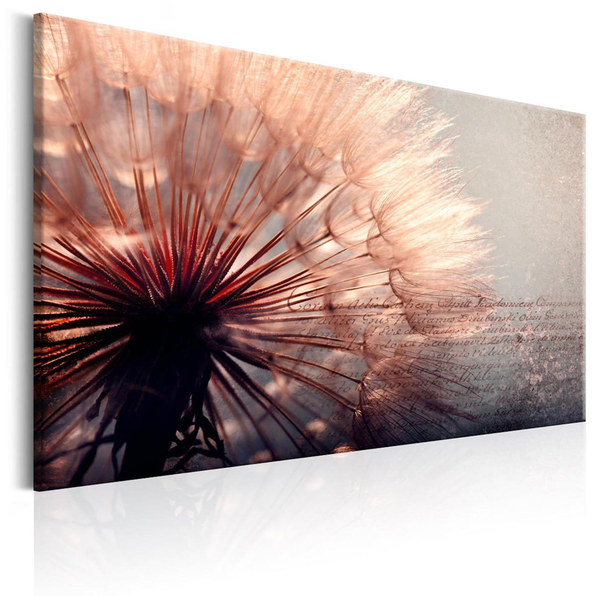 Paris Prix Tableau Imprimé  Pink Gentleness