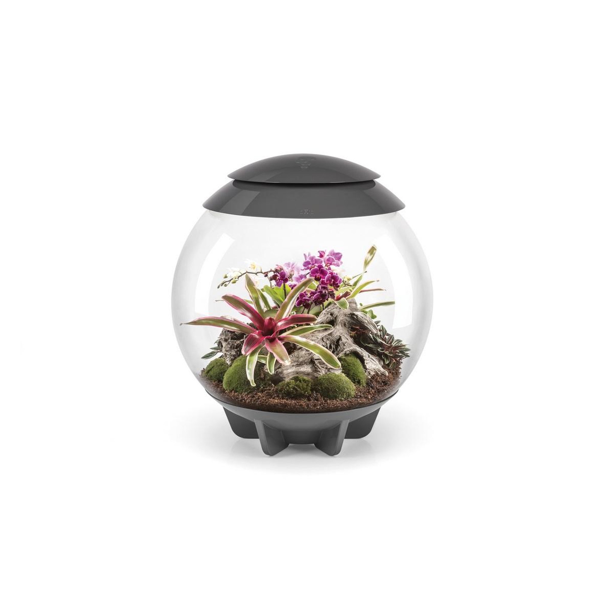 Oase Terrarium décoratif 60l avec cadre gris - air 60 grey