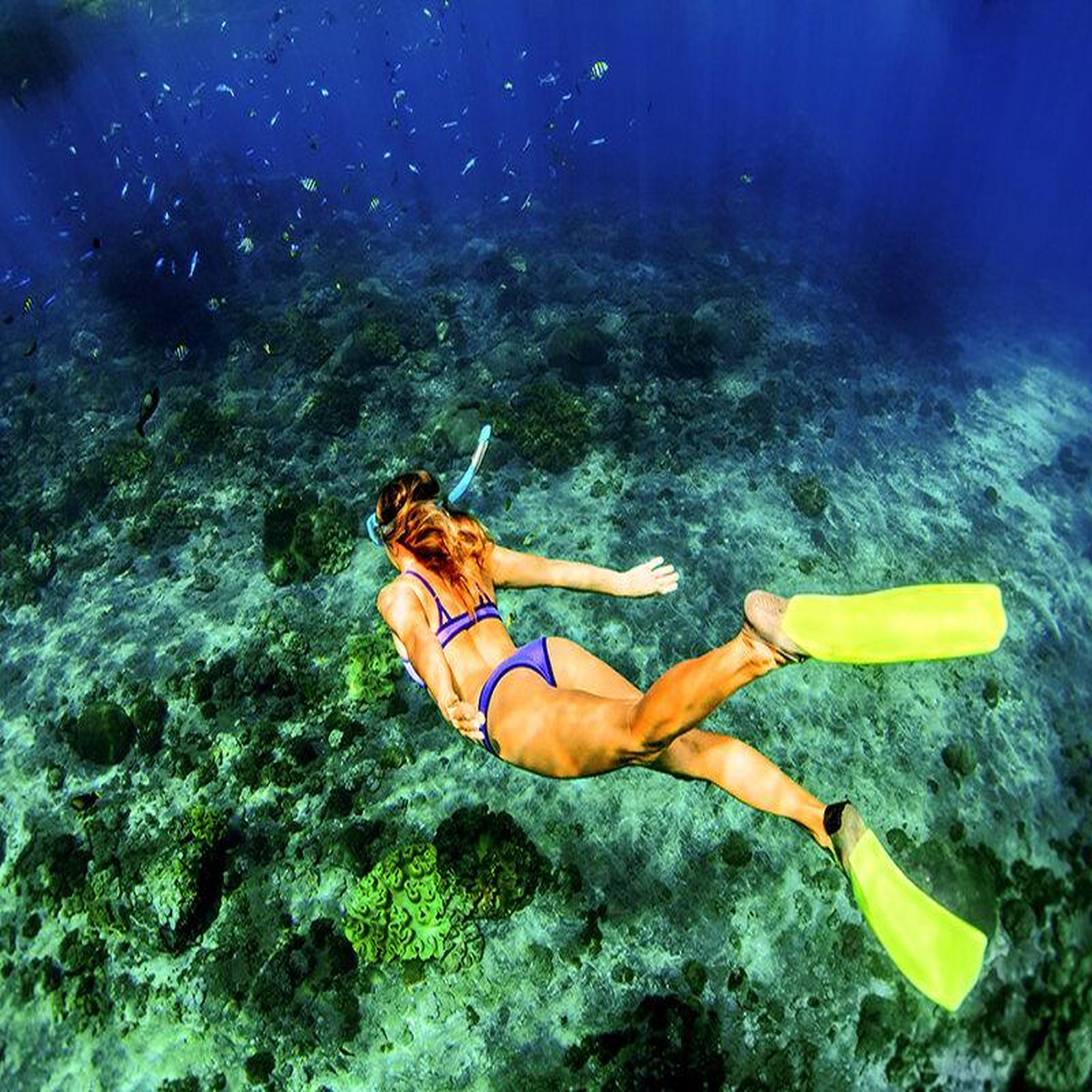 Voir la diapositive 2 : Smartbox Randonnée palmée snorkeling en famille avec verre de l'amitié au départ d'Ajaccio - Coffret Cadeau Sport & Aventure