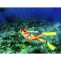 Voir la diapositive 2 : Smartbox Randonnée palmée snorkeling en famille avec verre de l'amitié au départ d'Ajaccio - Coffret Cadeau Sport & Aventure