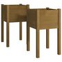 Voir la diapositive 2 : VIDAXL Jardinieres 2 pcs Marron miel 40x40x70 cm Bois de pin massif