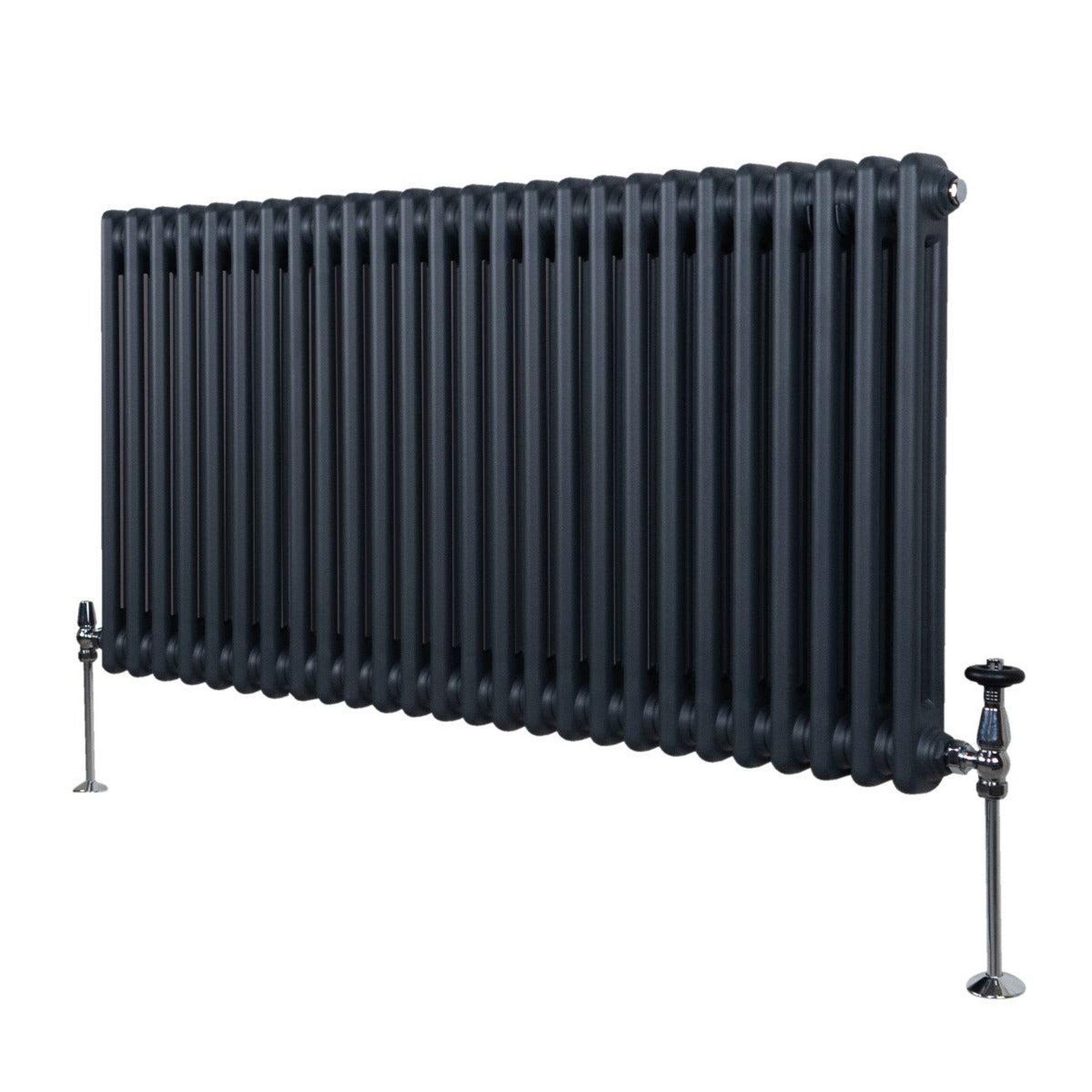 Voir la diapositive 1 : MONSTERSHOP Radiateur traditionnel à 2 colonnes – 600 x 1192 mm