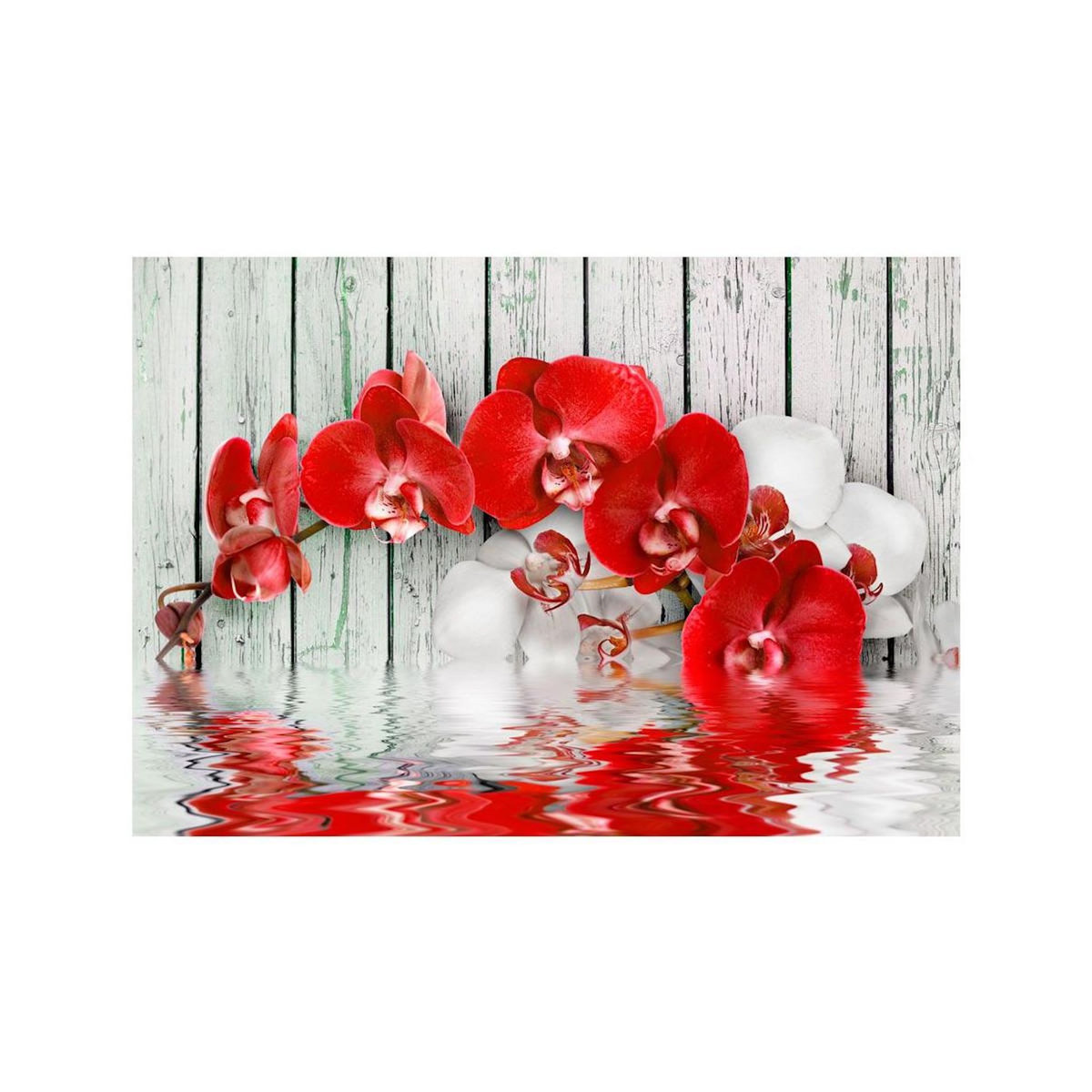 Paris Prix Papier Peint  Ruby Orchid