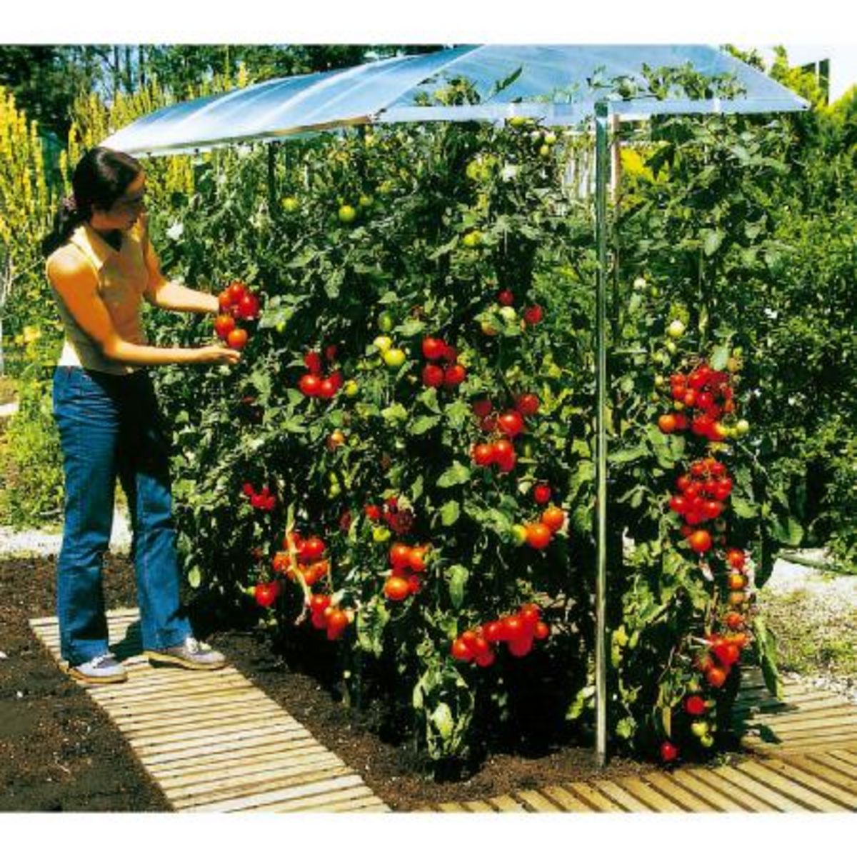 Toit de culture 5 mètres