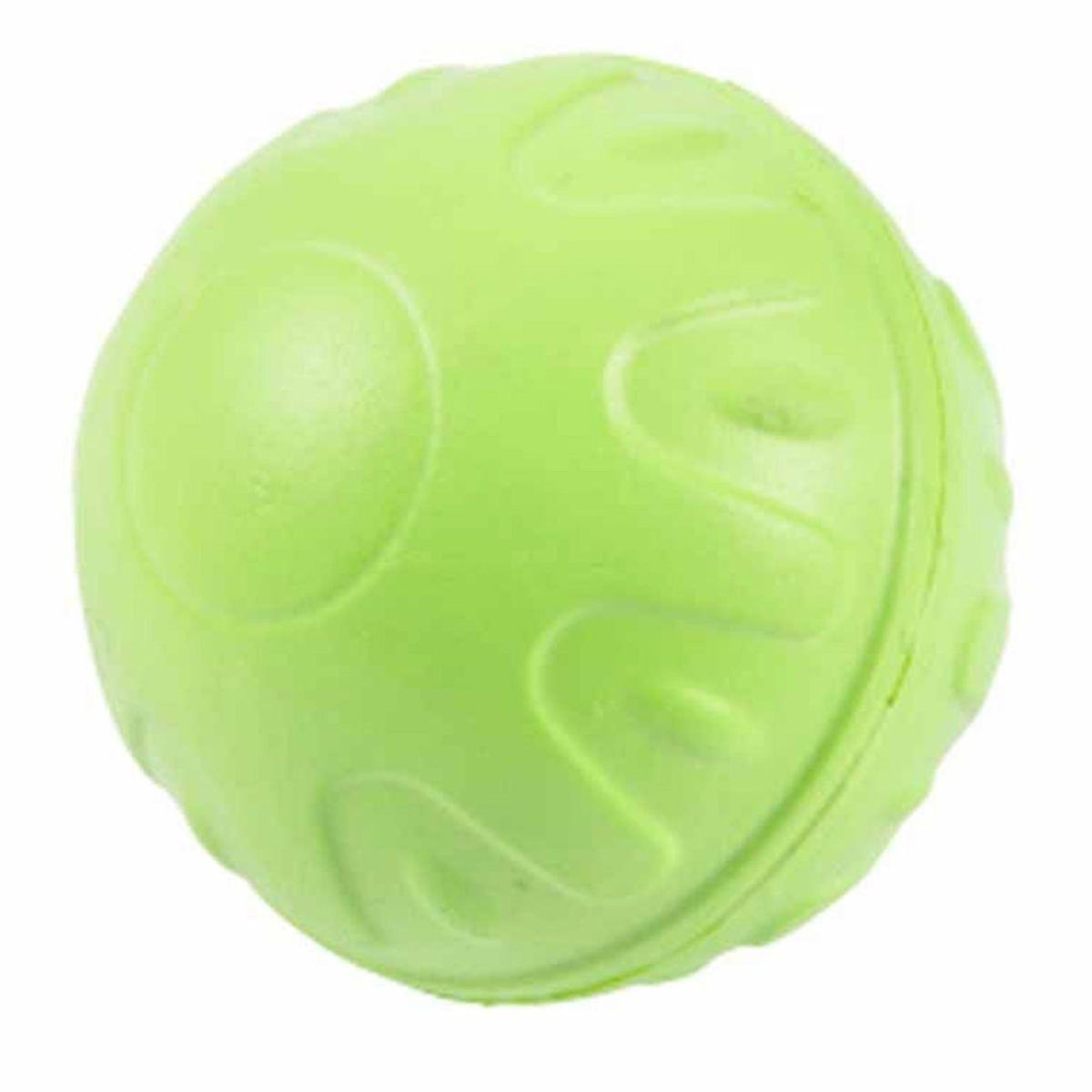 Paris Prix Jouet pour Chien  Balle Fitness Eva  7cm Vert