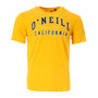 Voir la diapositive 1 : O'NEILL T Shirt  Homme O'Neill Surf