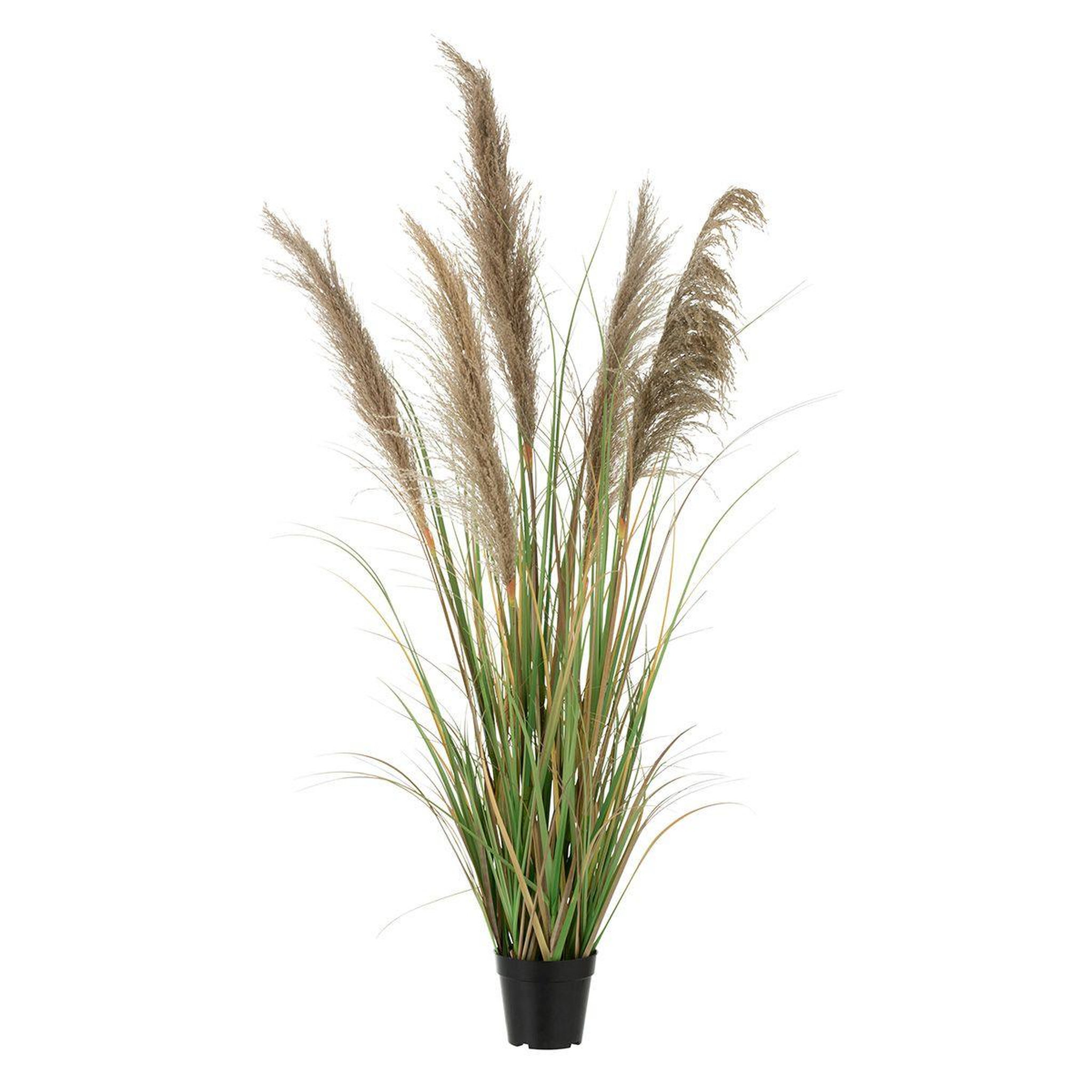 J-LINE Herbe de pampas artificielle en pot  5 têtes  140cm vert & beige