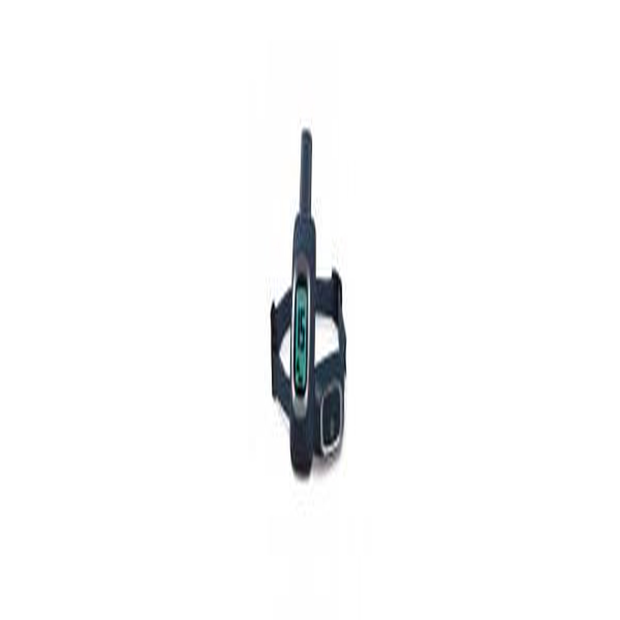 PETSAFE Systeme daide a leducation LITE 300 m