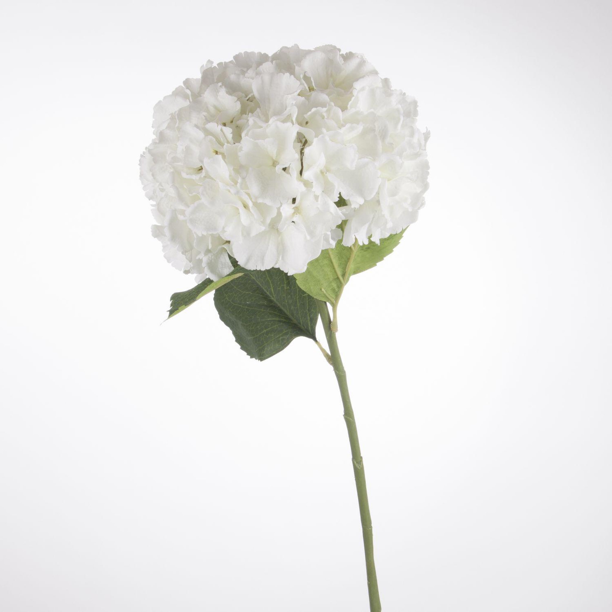 Voir la diapositive 3 : ATMOSPHERA Tige artificielle d'Hortensia - H. 83 cm - Blanc