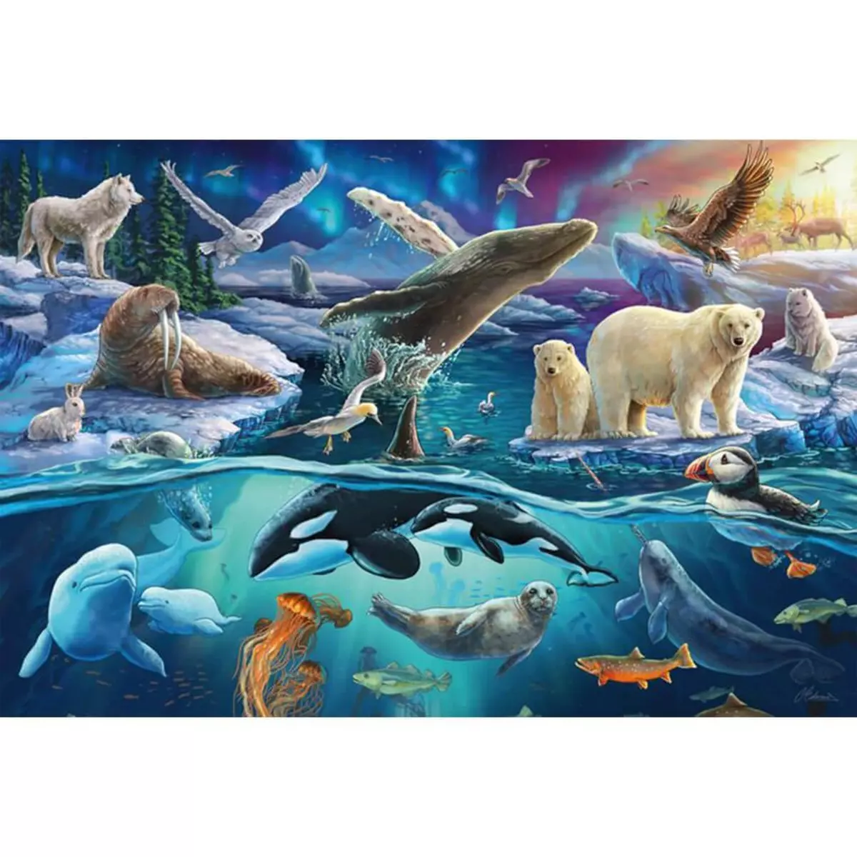 Schmidt Puzzle 150 pièces : Animaux de l'Arctique