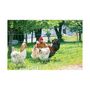 Voir la diapositive 2 : KERBL Filet E volaille - KERBL - 25 m - 106 cm - Double pointe - Vert