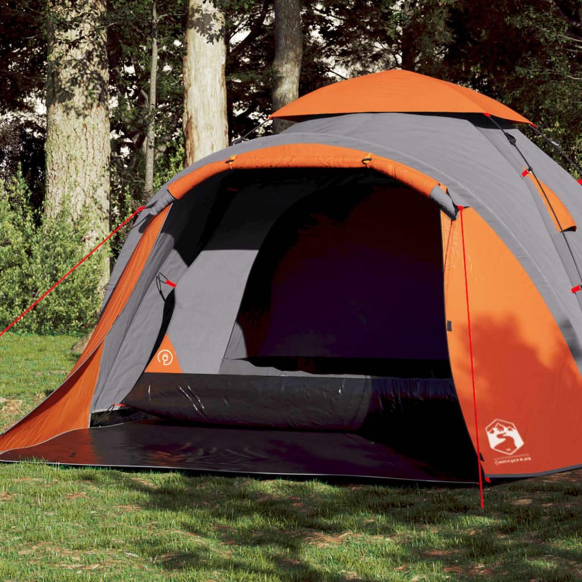 VIDAXL Tente de camping a dome 3 personnes liberation rapide