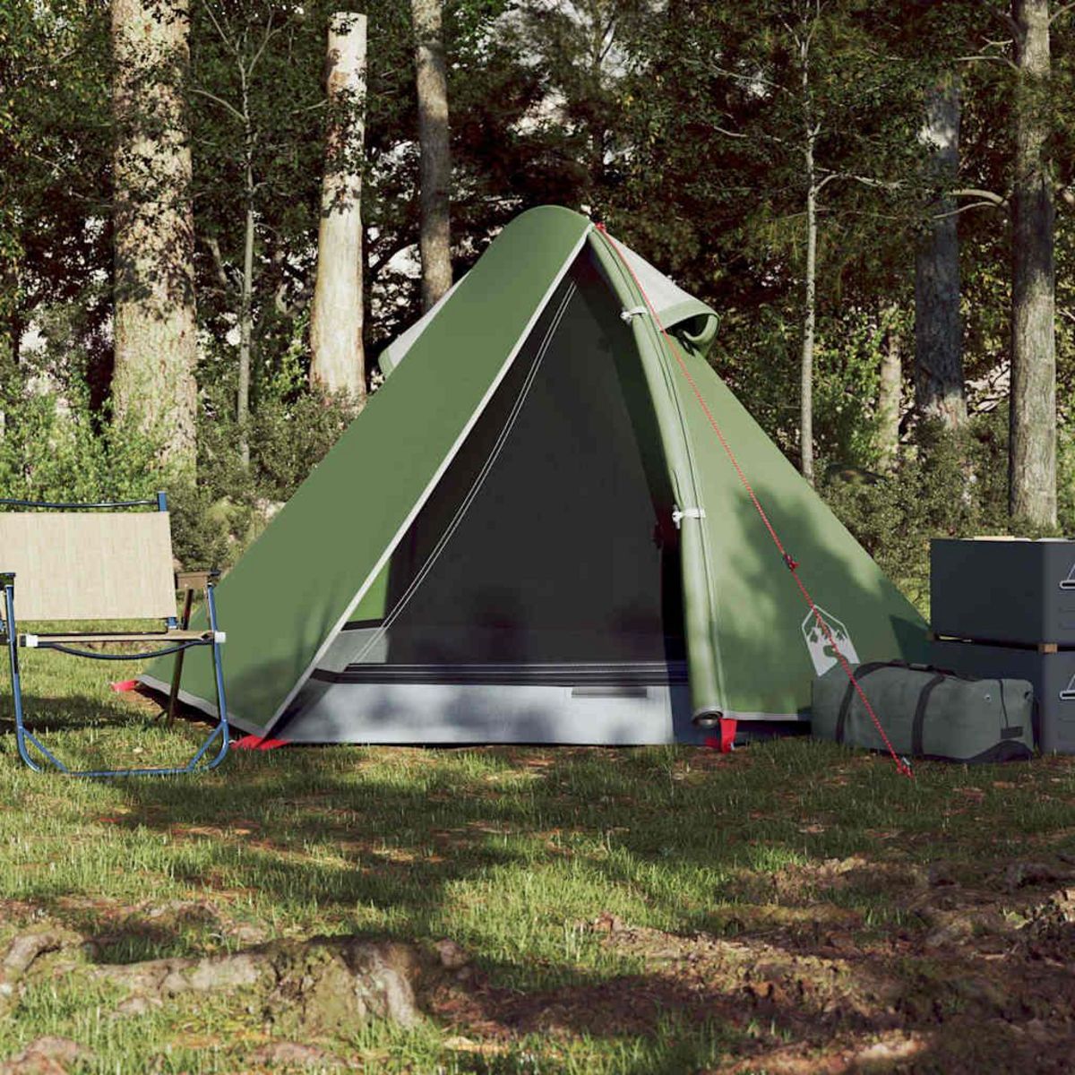 VIDAXL Tente de camping a dome 2 personne vert impermeable
