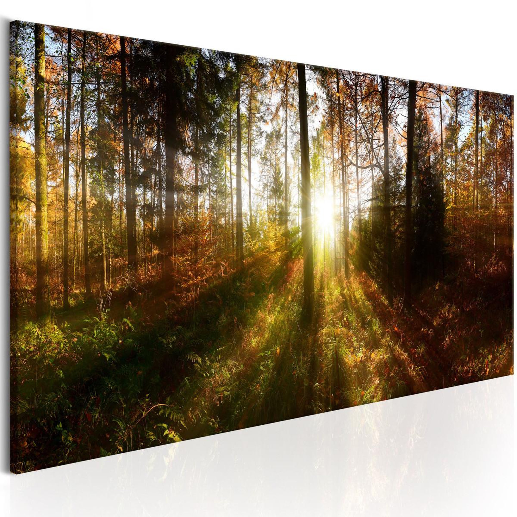 Voir la diapositive 1 : Paris Prix Tableau Imprimé  Beautiful Forest