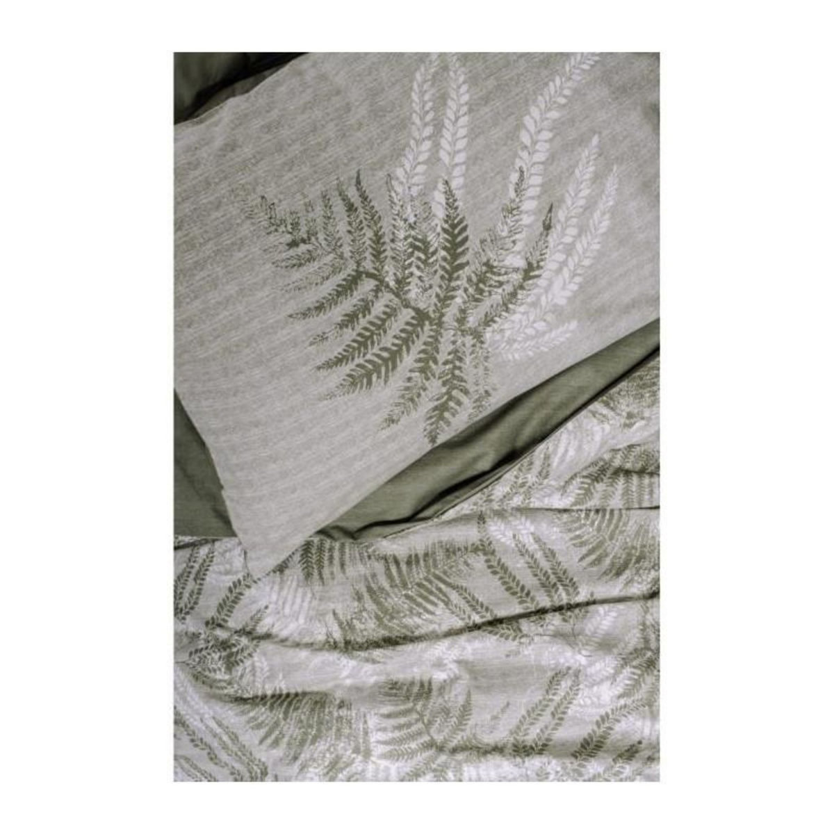 GENERIQUE Parure de lit - 129CTN64491 - 1 housse de couette 220 x 240 cm + 2 taies d'oreiller 60 x 60 cm - 100% coton ranforcé - Kaki