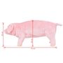 Voir la diapositive 5 : VIDAXL Jouet en peluche Cochon rose XXL