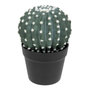Voir la diapositive 1 : ATMOSPHERA Plante Artificielle en Pot  Cactus  25cm Vert