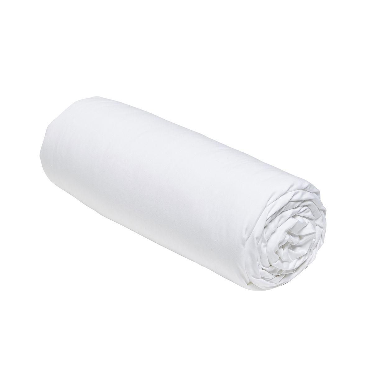 TODAY Drap Housse uni en Percale de coton 