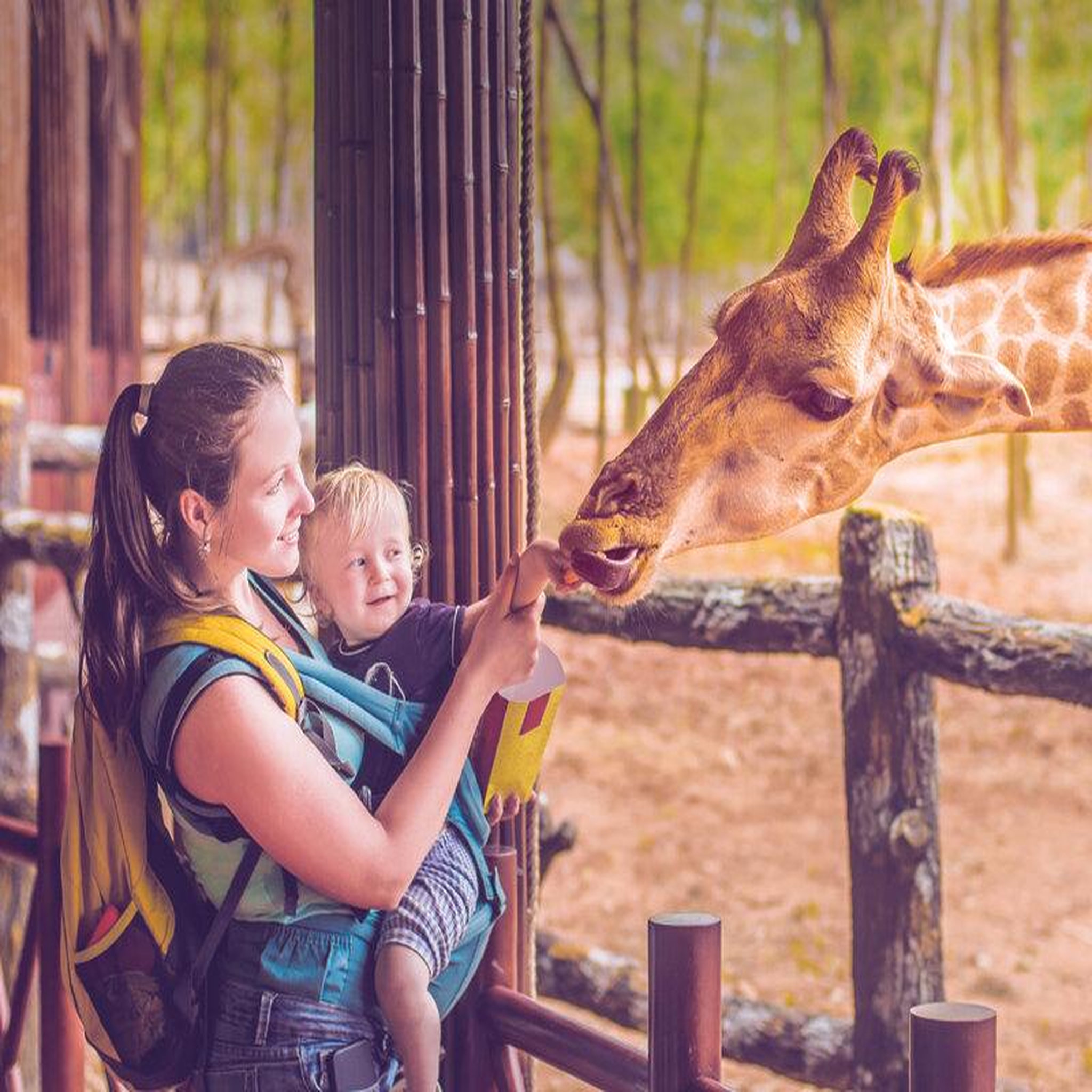 Voir la diapositive 4 : Smartbox Sorties en famille émotions - coffret cadeau multi-thèmes