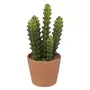  Plante Artificielle Cactus  Alicante  30cm Vert