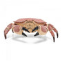 Voir la diapositive 2 : Papo 56047 - Crabe Figurine