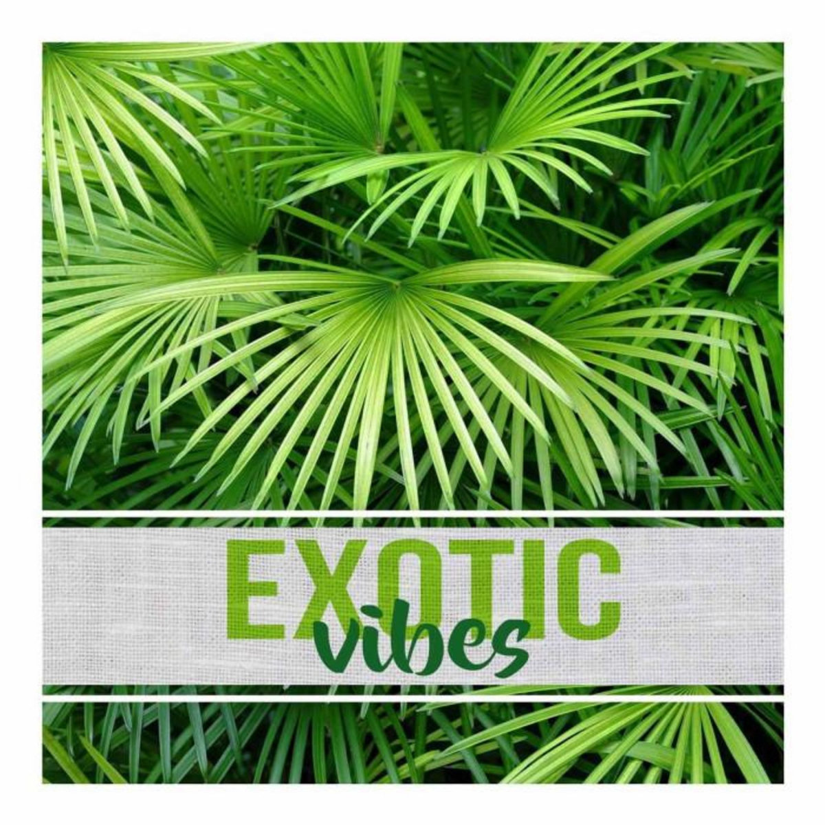 Paris Prix Lot de 20 Serviettes en Papier  Exotic Vibes  33x33cm Vert