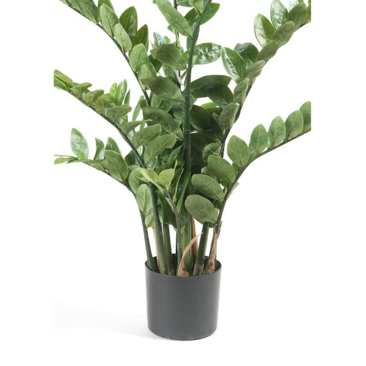 EMERALD Emerald Zamioculcas artificiel Vert 110 cm 11.662C