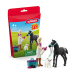Schleich 42755 Mini Monde – Sofia soigne son poulain