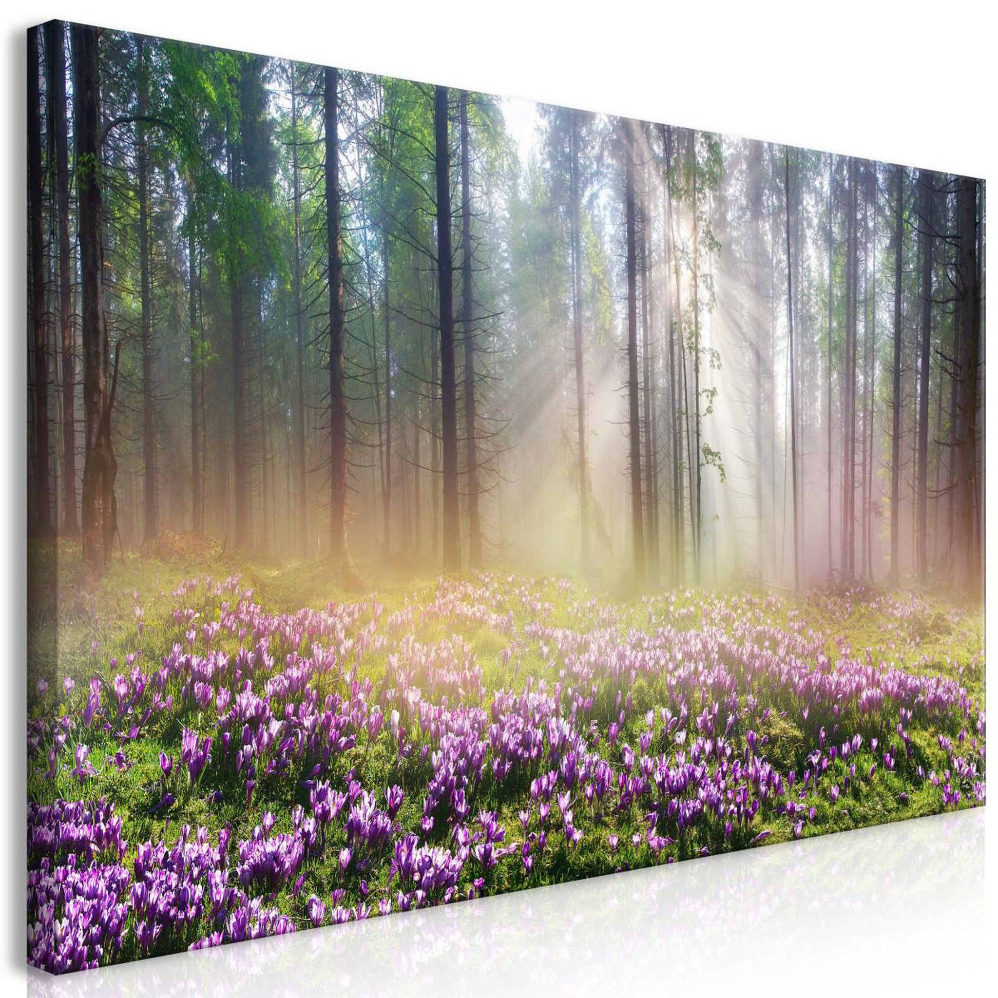 Voir la diapositive 1 : Paris Prix Tableau Imprimé  Purple Meadow Wide