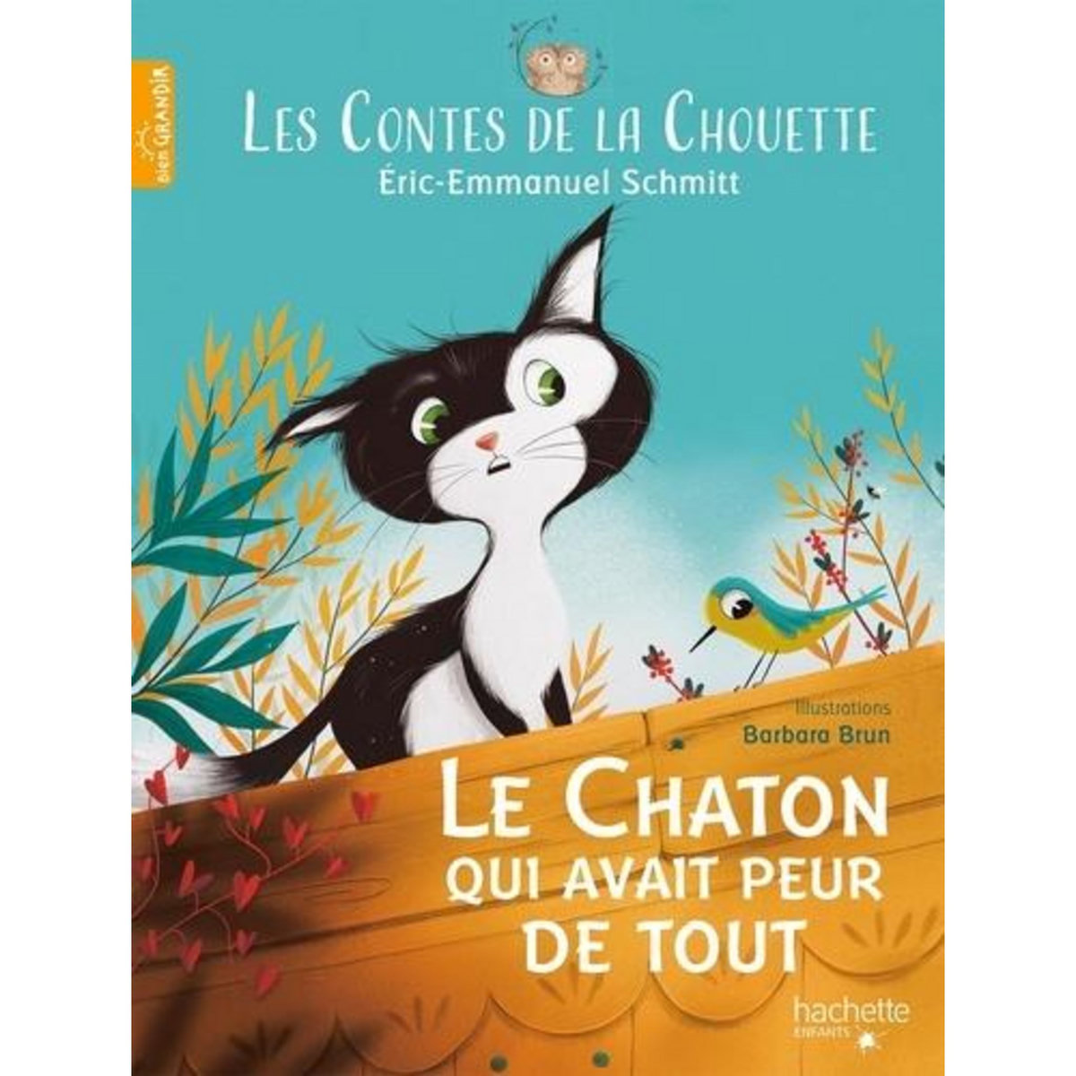 LES CONTES DE LA CHOUETTE TOME 1 : LE CHATON QUI AVAIT PEUR DE TOUT, Schmitt Eric-Emmanuel