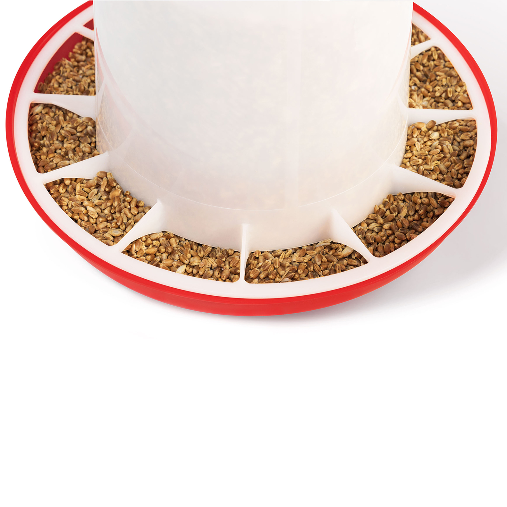 Voir la diapositive 4 : ID MARKET Lot mangeoire 3 kg et abreuvoir 3l pour poules et volailles