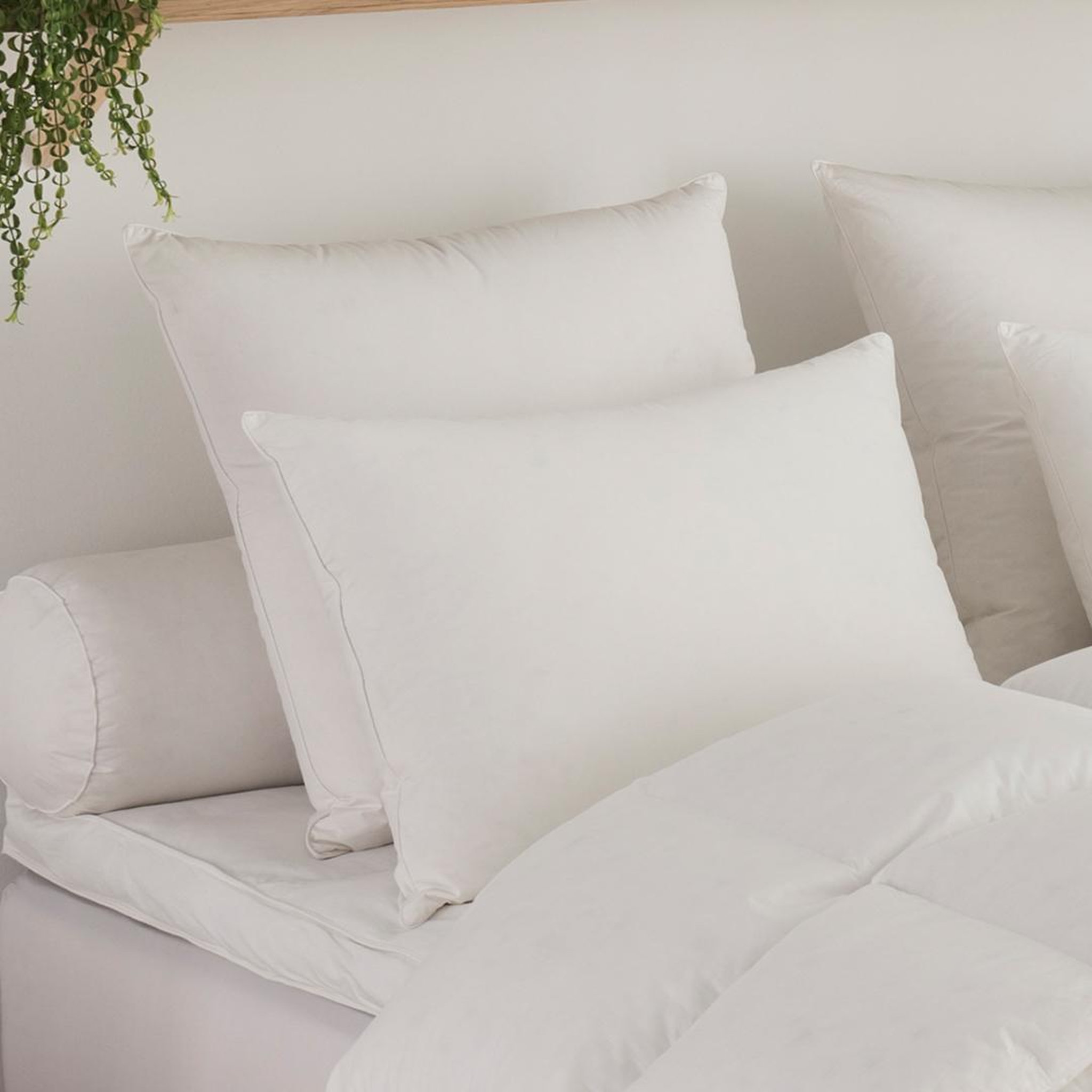 Voir la diapositive 1 : DODO Oreiller micro green toucher duvet moelleux