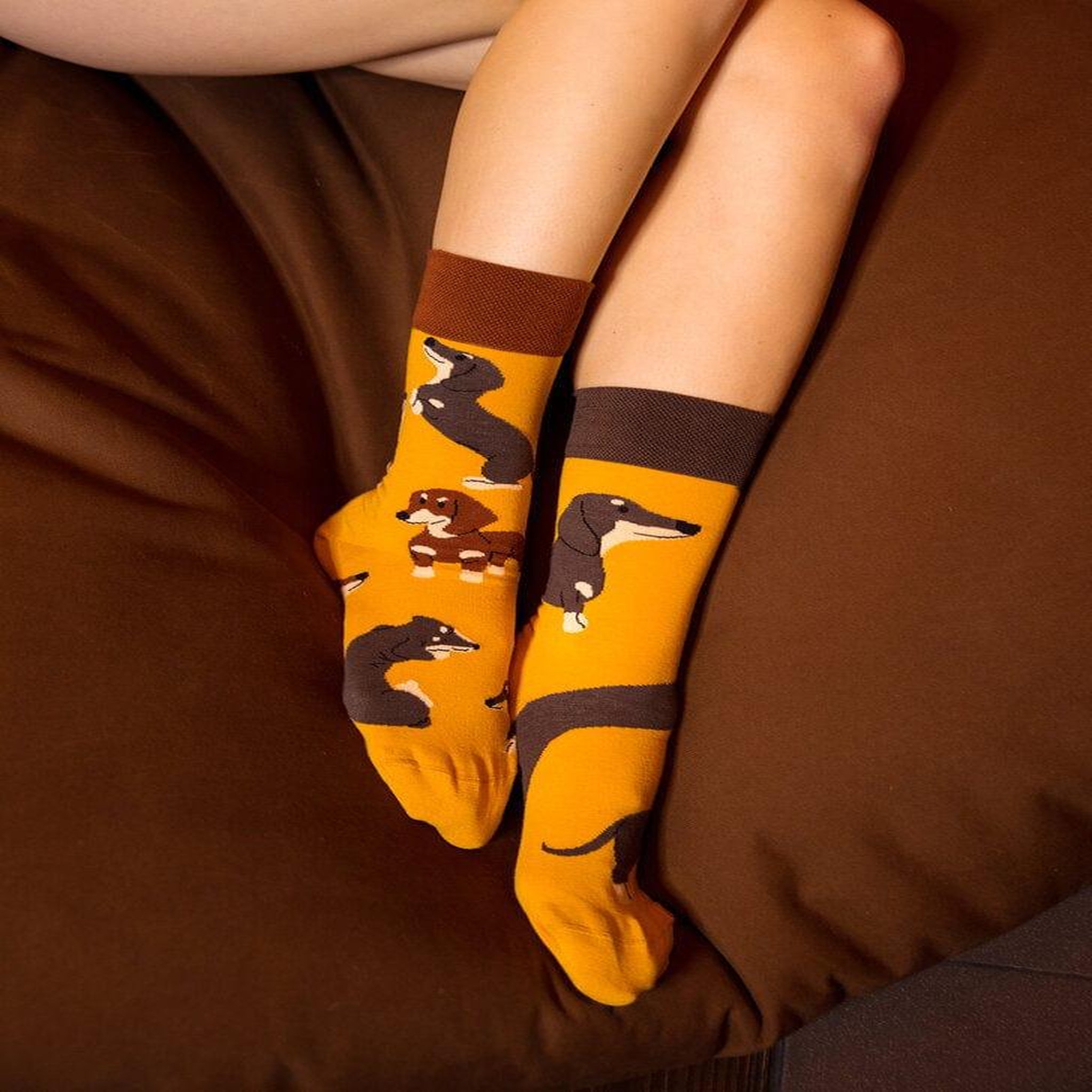 Voir la diapositive 5 : DEDOLES Chaussettes dedoles teckels