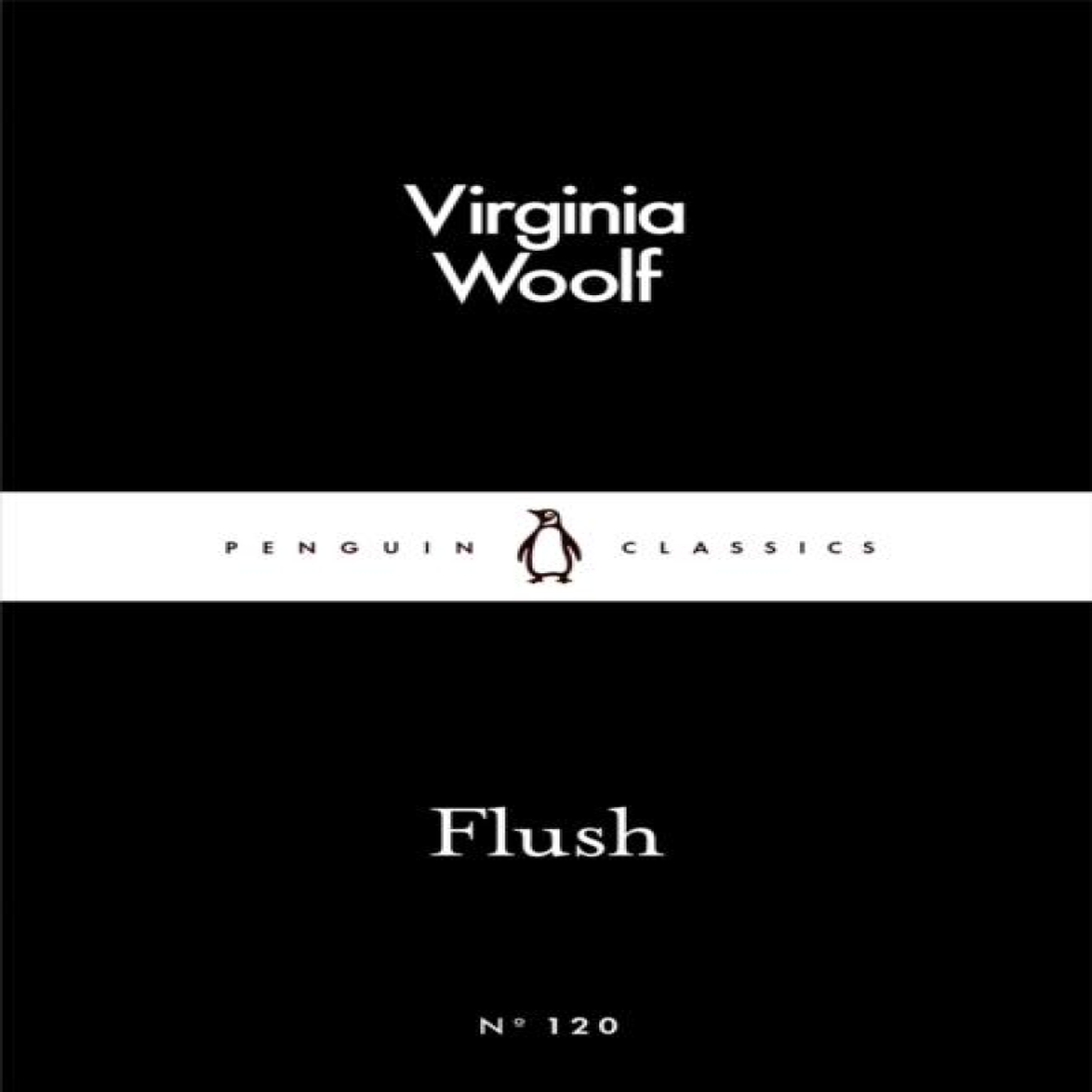 LIVRES Flush - Virginia Woolf