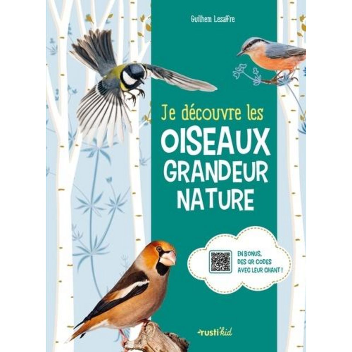 JE DECOUVRE LES OISEAUX GRANDEUR NATURE, Lesaffre Guilhem