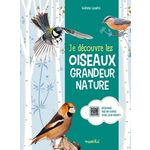 JE DECOUVRE LES OISEAUX GRANDEUR NATURE, Lesaffre Guilhem