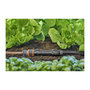 Voir la diapositive 2 : Gardena Centrale d'irrigation 1000 - Quick & Easy