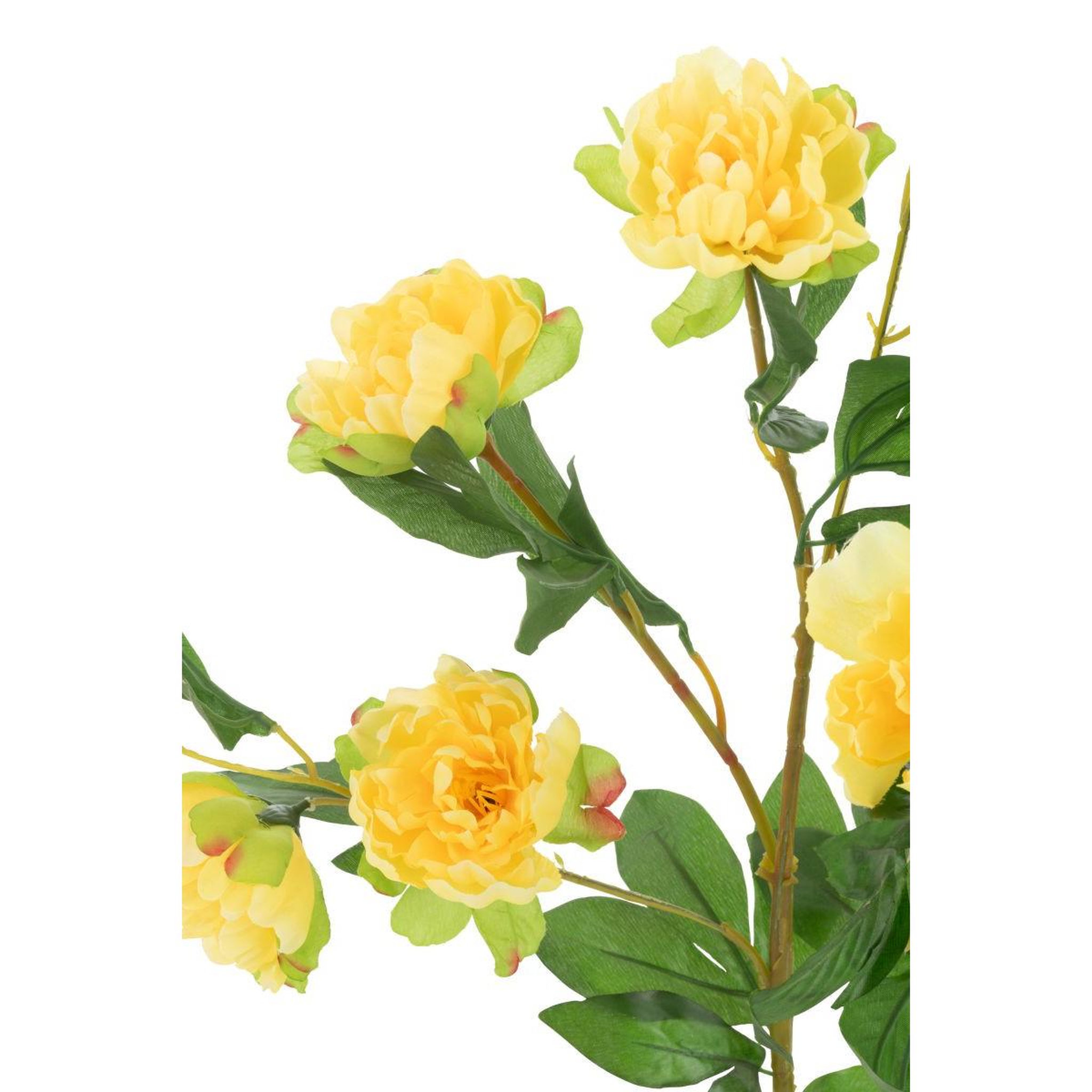 Voir la diapositive 2 : J-LINE Fleur artificielle en pot  pivoine  80cm jaune